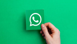 blog-whatsapp-business-webalchemy
