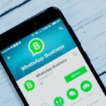 whatsapp business