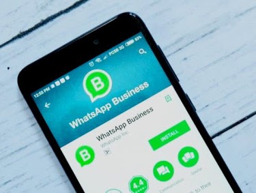whatsapp business