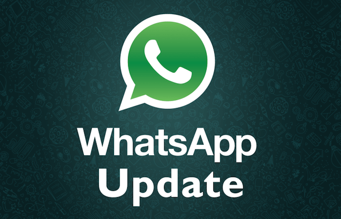 Aggiornamento WhatsApp: cosa cambia e cosa succede a chi non accetta i nuovi termini