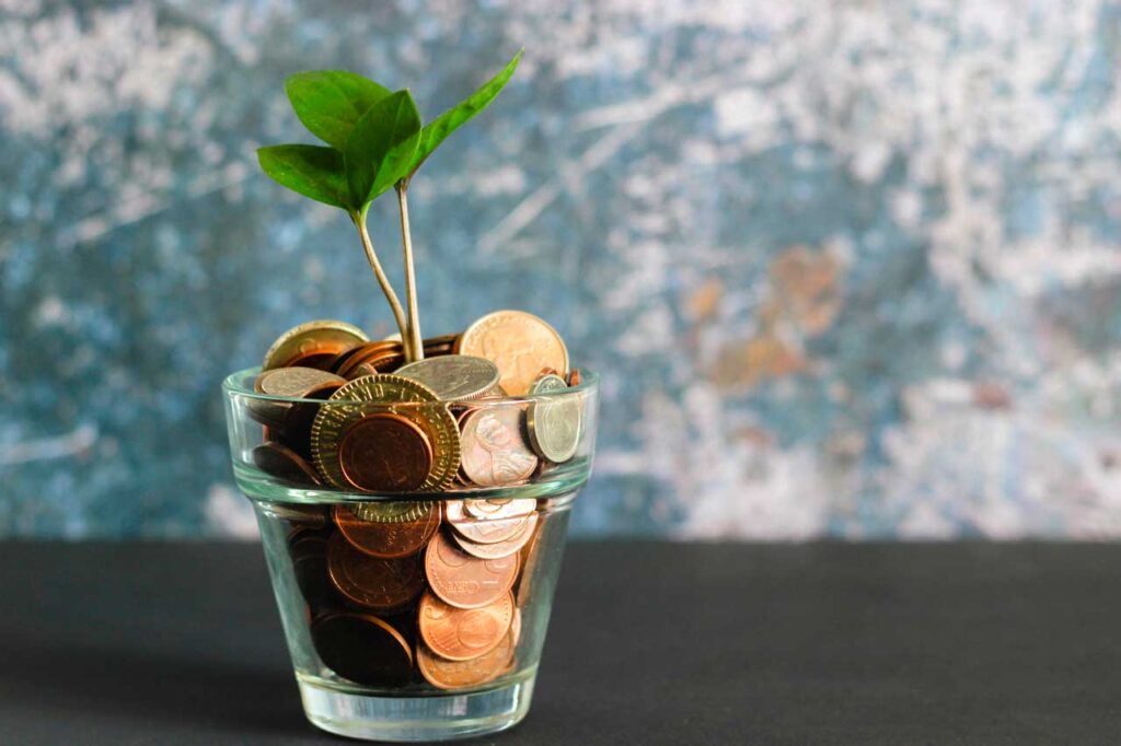 budget social media marketing