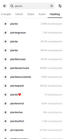 come si usa tiktok