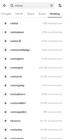 come si usa tiktok