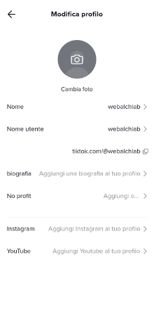 come si usa tiktok