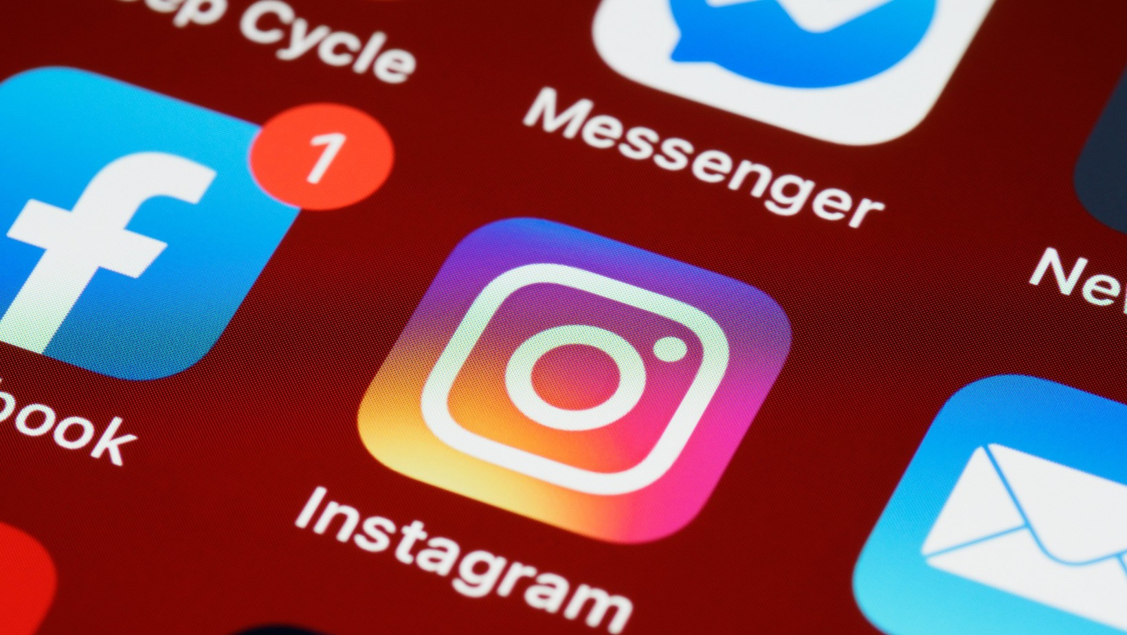 instagram feed webalchlab