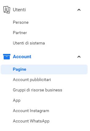 come creare il business manager 1