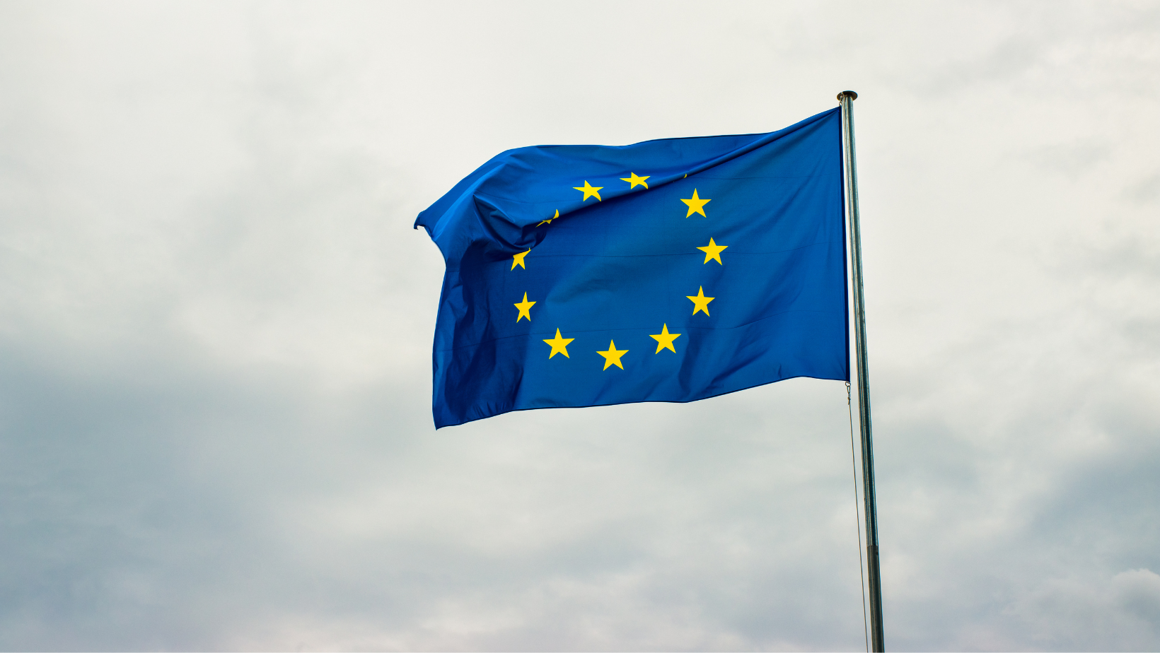 dma europeo
