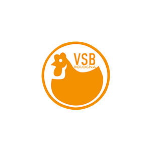 vsb logo carosello