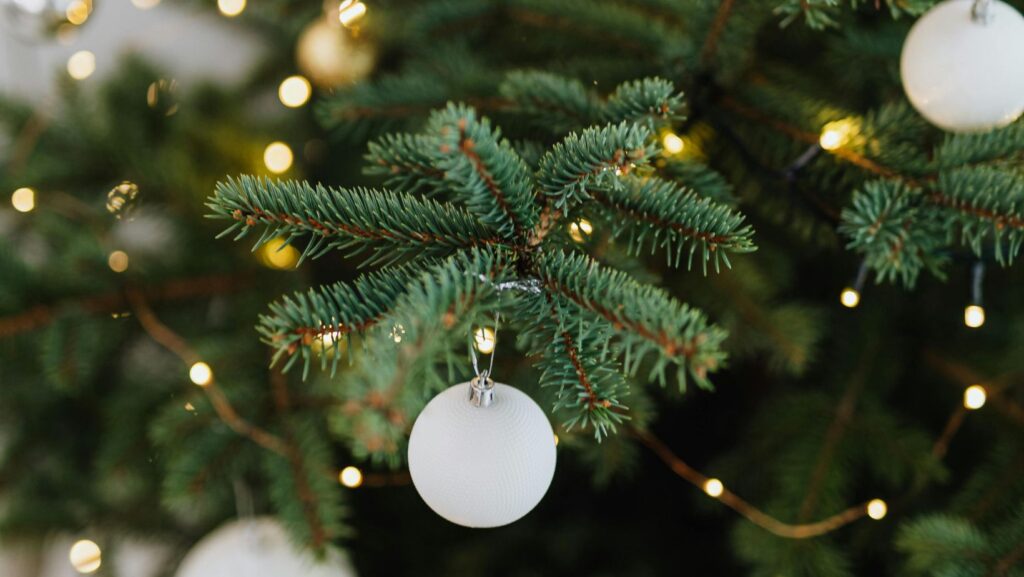 last minute natale strategie per consegna entro natale e ritiro in negozio
